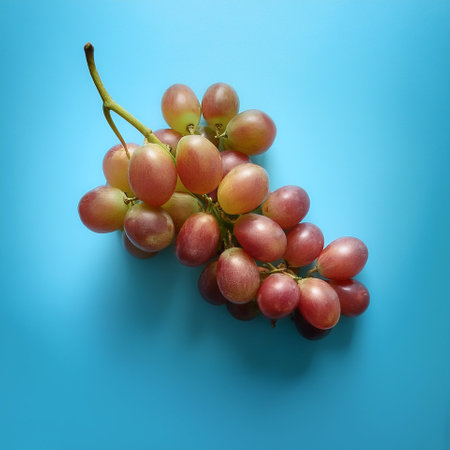 Grape fruit, isolated on a pastel blueの写真素材