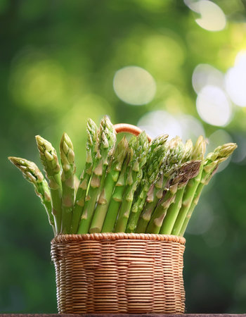 Asparagus in basket with blur green bokeh backgroundの写真素材