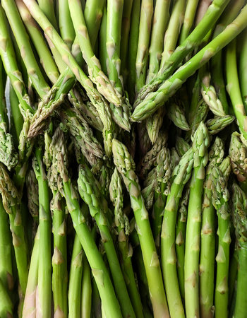 Asparagus Vegetables, Creative background design with food theme, focus on the pile of fresh Asparagusの写真素材