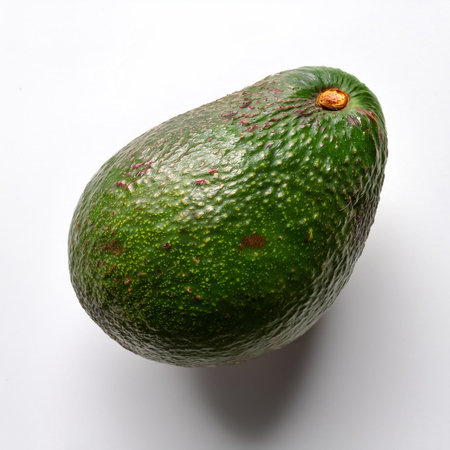 Avocado, isolated on a clean white backgroundの写真素材