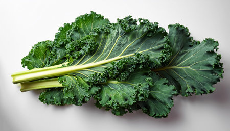kale, isolated on a clean white backgroundの写真素材