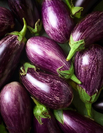 Eggplant Vegetables, Creative background design with food theme, focus on the pile of fresh Eggplantの写真素材