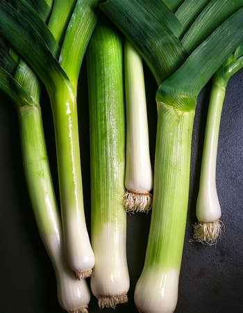 Leek Vegetables, Creative background design with food theme, focus on the pile of fresh Leekの写真素材