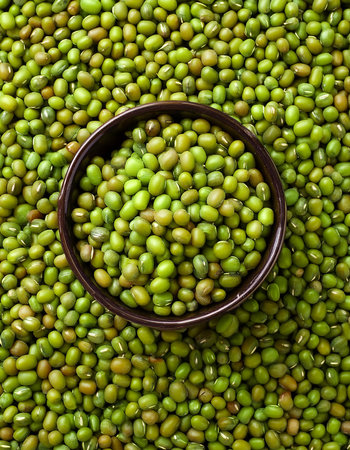 Mung beans Vegetables, Creative background design with food theme, focus on the pile of fresh Mung beansの写真素材