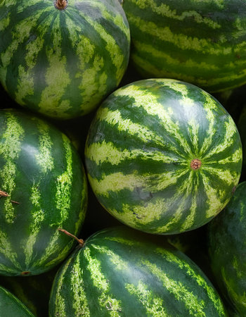 Watermelon, Creative background design with food theme, focus on the pile of fresh Watermelonの写真素材