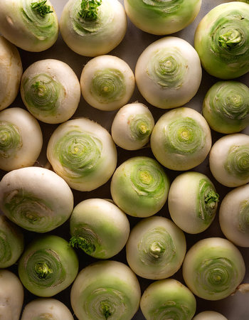 Turnip Vegetables, Creative background design with food theme, focus on the pile of fresh Turnip Vegetablesの写真素材