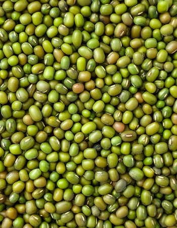 Mung beans Vegetables, Creative background design with food theme, focus on the pile of fresh Mung...