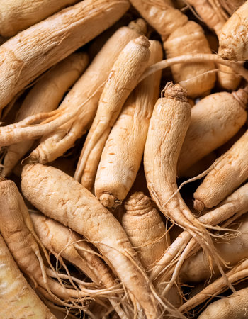 Fresh a pile of close-up Some ginseng texture, pattern backgroundの写真素材