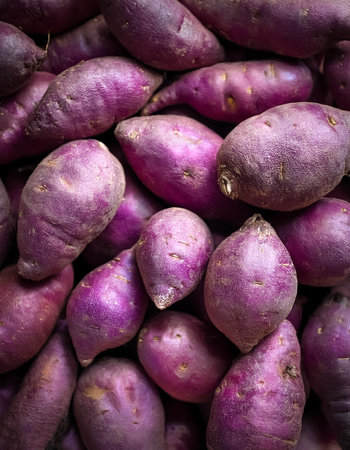 Fresh a pile of close-up Some purple sweet yam texture, pattern backgroundの写真素材