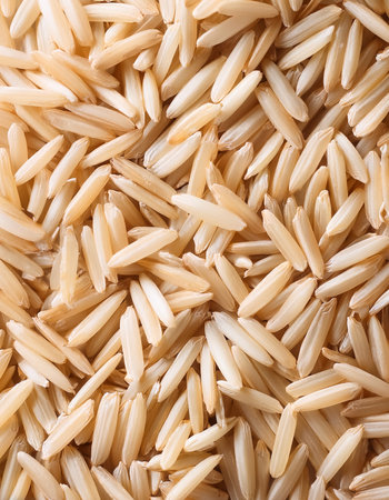 Fresh a pile of close-up Some rice ear texture, pattern background.の写真素材