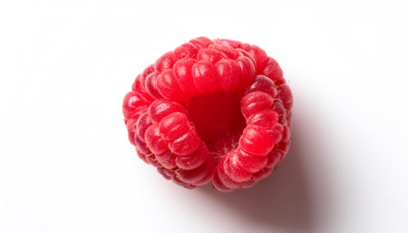 raspberry, isolated on a white backgroundの写真素材