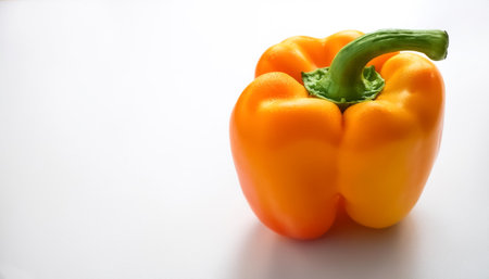 Sweet pepper pattern with side position provides copy space for text. background concept isolated...