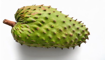 Soursop, isolated on a clean white backgroundの写真素材