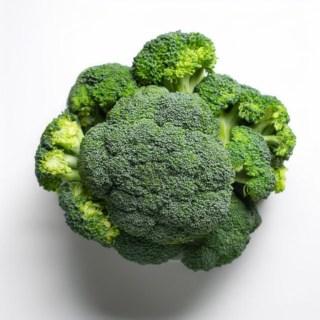 broccoli, isolated against a clean, smooth white backgroundの写真素材