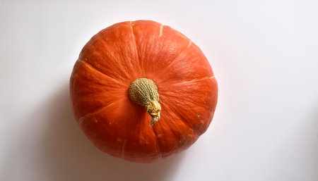 pumpkin, isolated on a clean, smooth white backgroundの写真素材