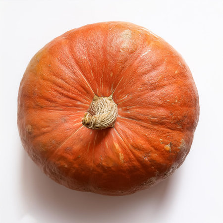 pumpkin, isolated on a clean, smooth white backgroundの写真素材