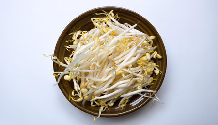 sprouts, isolated on a clean white backgroundの写真素材