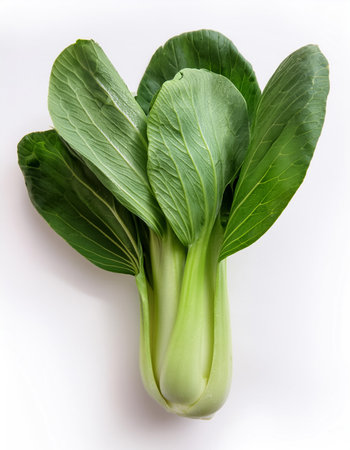 Green Bok Choy, Pok Choi or Pak Choi, isolated on a clean white backgroundの写真素材