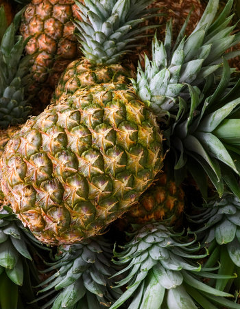 Pineapple. Creative background design with food theme, focus on the pile of fresh Pineappleの写真素材