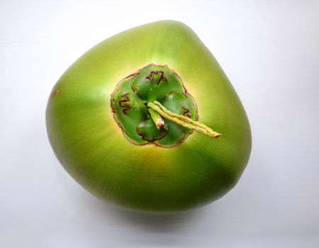 green coconut fruit, isolated on a clean and smooth white backgroundの写真素材