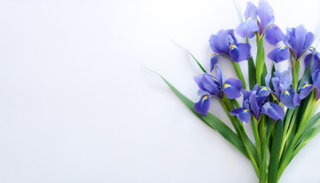 Fresh Iris flower garland foliage on side position provides copy space for text. background concept isolated whiteの写真素材