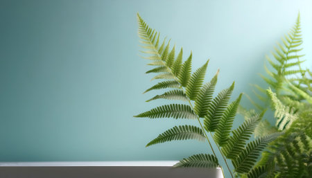 A Fern plant on minimalisの写真素材