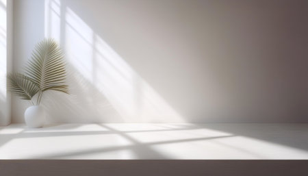 Empty white background for product presentation with beautiful lights and shadowsの写真素材