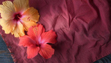 Fresh Hibiscus flower pattern texture backgroundの写真素材