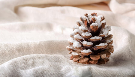 A pinecone covered in a little fake snow, placed on a cream or white linen cloth