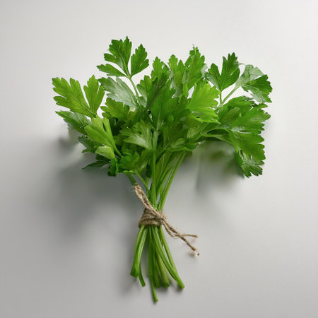 A small bunch of fresh parsley leaves on a white backgroundの写真素材