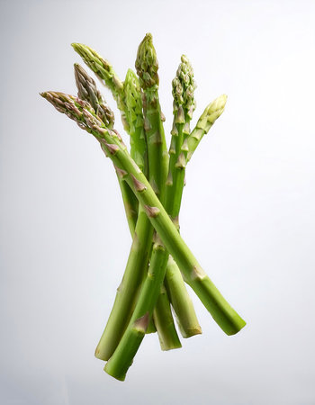 Asparagus floating or flying isolated white backgroundの写真素材