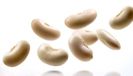 Beans floating or flying isolated white backgroundの写真素材