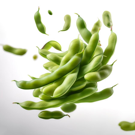 green Buncis or Beans floating or flying isolated white backgroundの写真素材