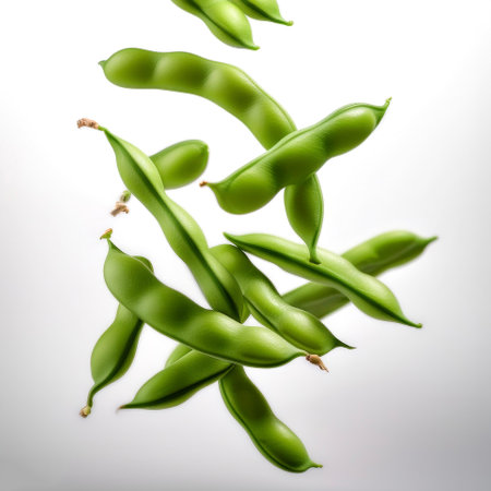 green Buncis or Beans floating or flying isolated white background