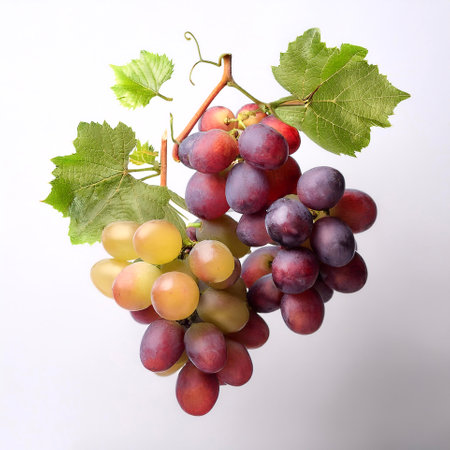 grapes fruits with leaves floating or flying isolated white background