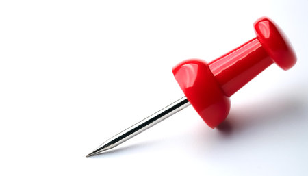 A single bright red push pin with a metallic needle on side position provides copy space for text....