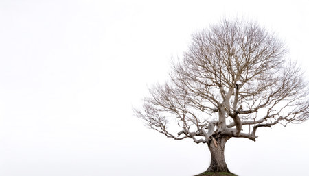 leafless old spooky tree on side position provides copy space for text. background concept isolated...