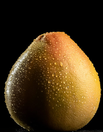 Close-up of fresh Pomelo Fruit with water drops on a pitch solid black backgroundの写真素材