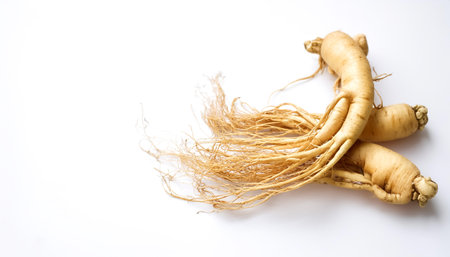 ginseng on side position provides copy space for text. background concept isolated whiteの写真素材