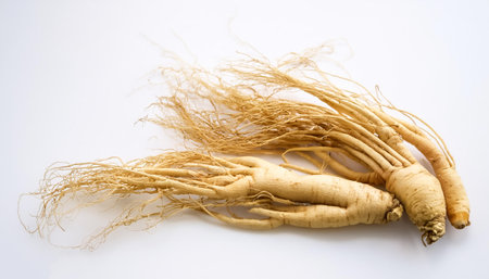 ginseng on side position provides copy space for text. background concept isolated whiteの写真素材