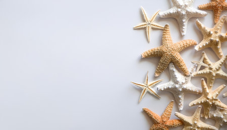 Sea star pattern on side position provides copy space for text. background concept isolated whiteの写真素材