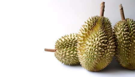 durian fruit pattern on side position provides copy space for text. background concept isolated...