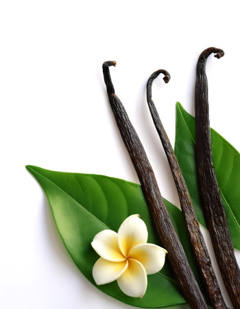 Vanilla pods, green leaves and flowers pattern with side position provides copy space for text. background concept isolated whiteの写真素材