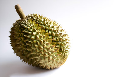 durian fruit pattern on side position provides copy space for text. background concept isolated...