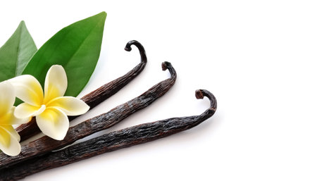 Vanilla pods, green leaves and flowers pattern with side position provides copy space for text. background concept isolated whiteの写真素材