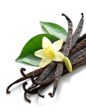 A bunch or pile of Vanilla pods, green leaves and flowers scattered around background concept isolated whiteの写真素材