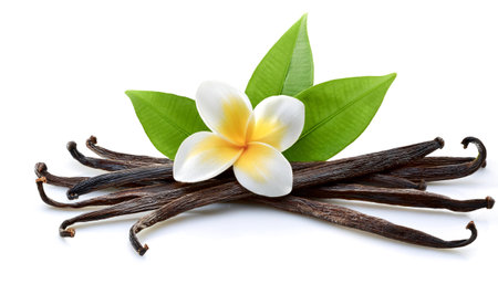 A bunch or pile of Vanilla pods, green leaves and flowers scattered around background concept isolated whiteの写真素材