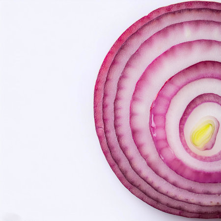 red onion slices. pattern texture on side position provides copy space for text. background concept isolated white backgroundの写真素材