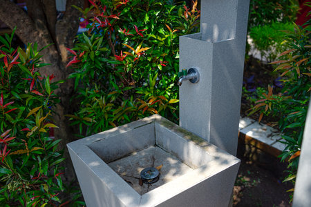 An outdoor sink with a metal faucet surrounded by green and red ornamental plants. The modern stone...
