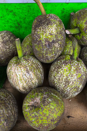 Close-up of fresh breadfruits with rough, green-brown textured skin displayed at a traditional market, stacked together for sale in a natural setting.の写真素材